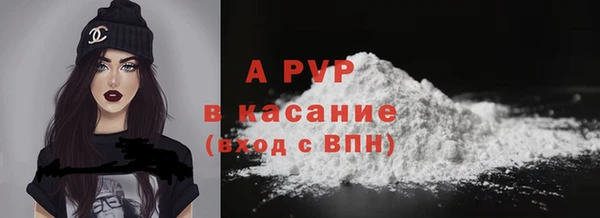 индика Абаза