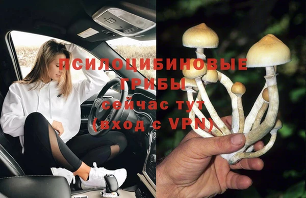 дмт Абдулино
