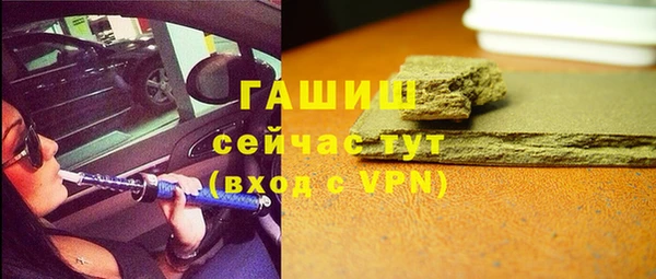 индика Абаза
