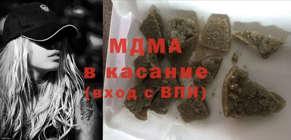 индика Абаза