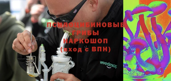 индика Абаза