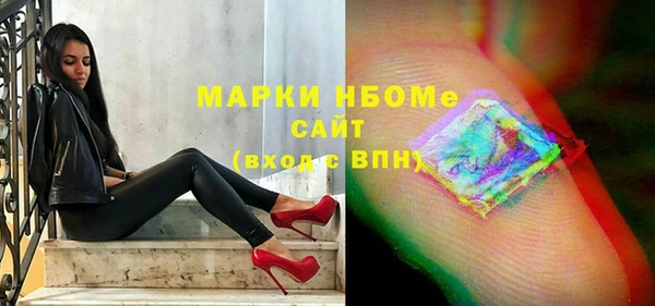 индика Абаза