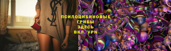 хмурый Алексеевка