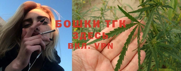 хмурый Алексеевка
