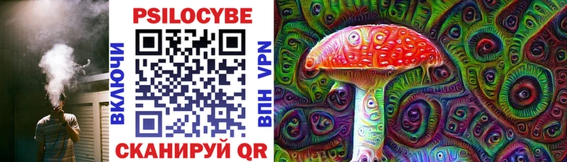 закладки Топки ссылка на мегу ссылки Галлюциногенные грибы Psilocybine cubensis